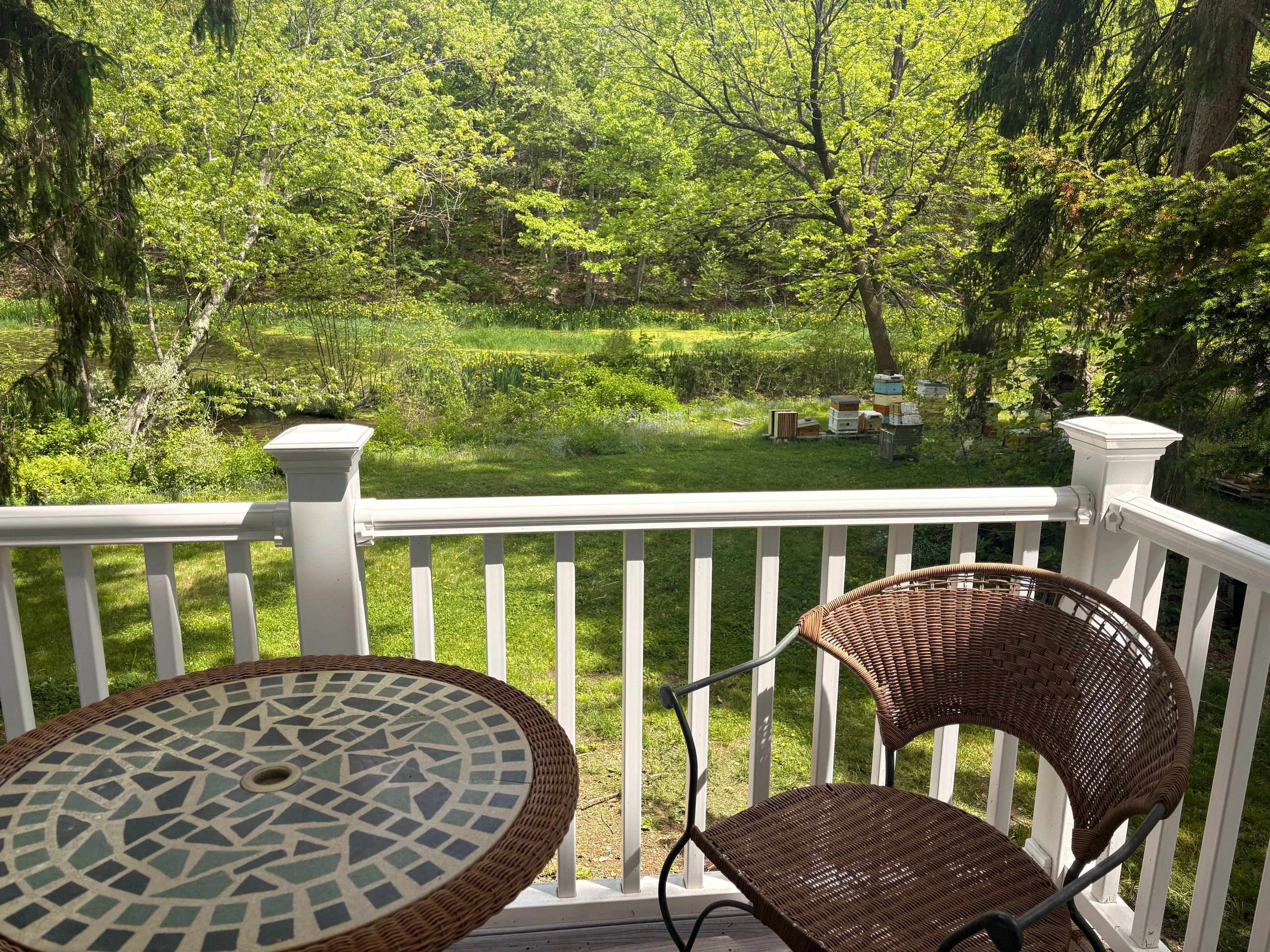 Cidar Millpond House