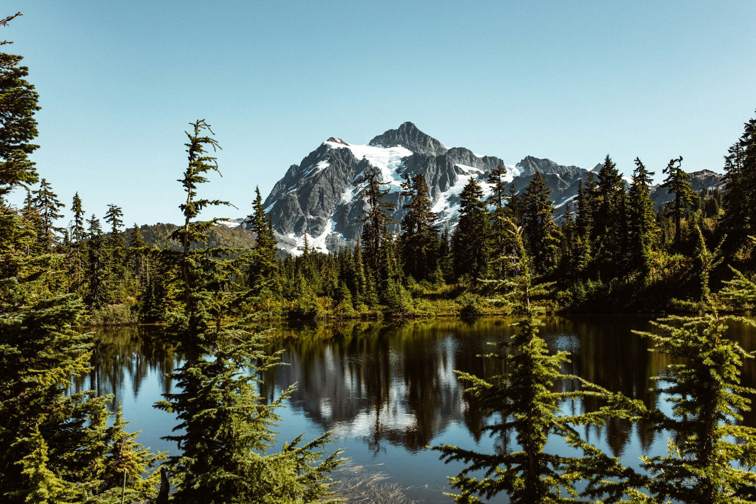 Courage to Change Recovery Services - Nick's Place — sober living in Everett, Washington