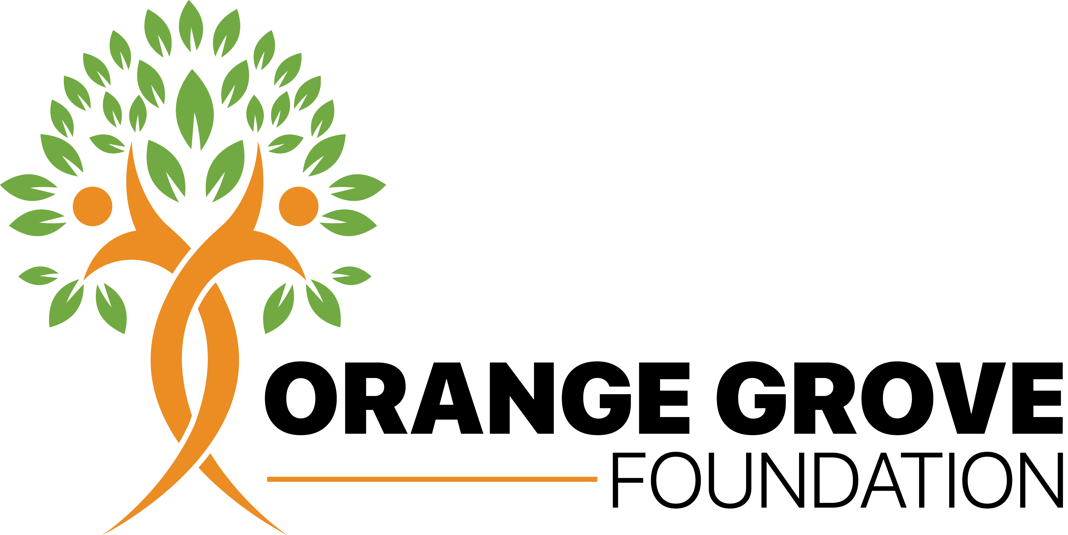 Orange Grove Foundation - Billy's Blue House — sober living in Tacoma, Washington
