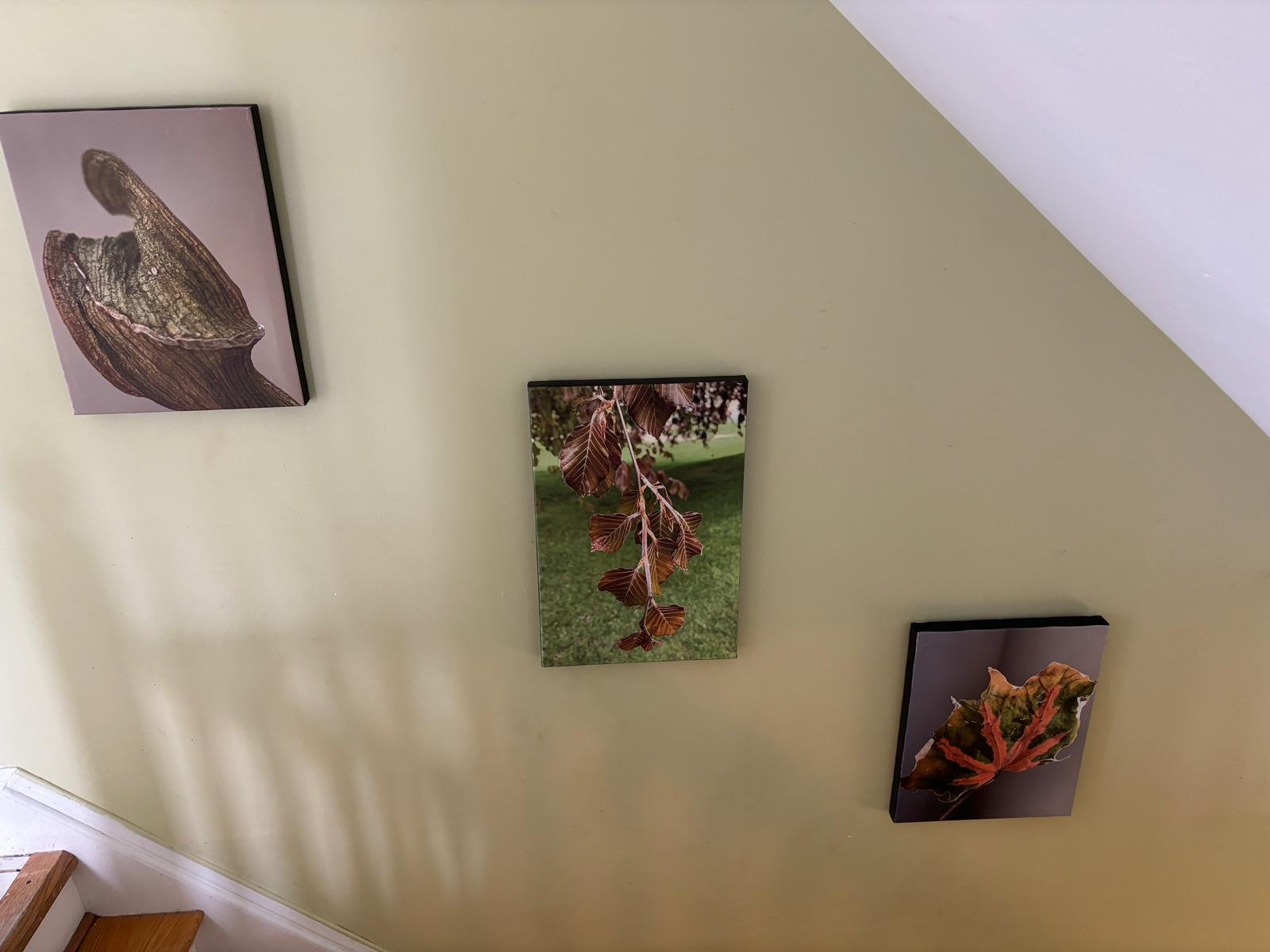 Recovery House — sober living in Springfield, Massachusetts