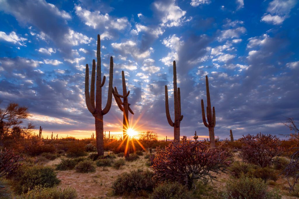 Saguaro Recovery - Cholla house — sober living in Phoenix, Arizona