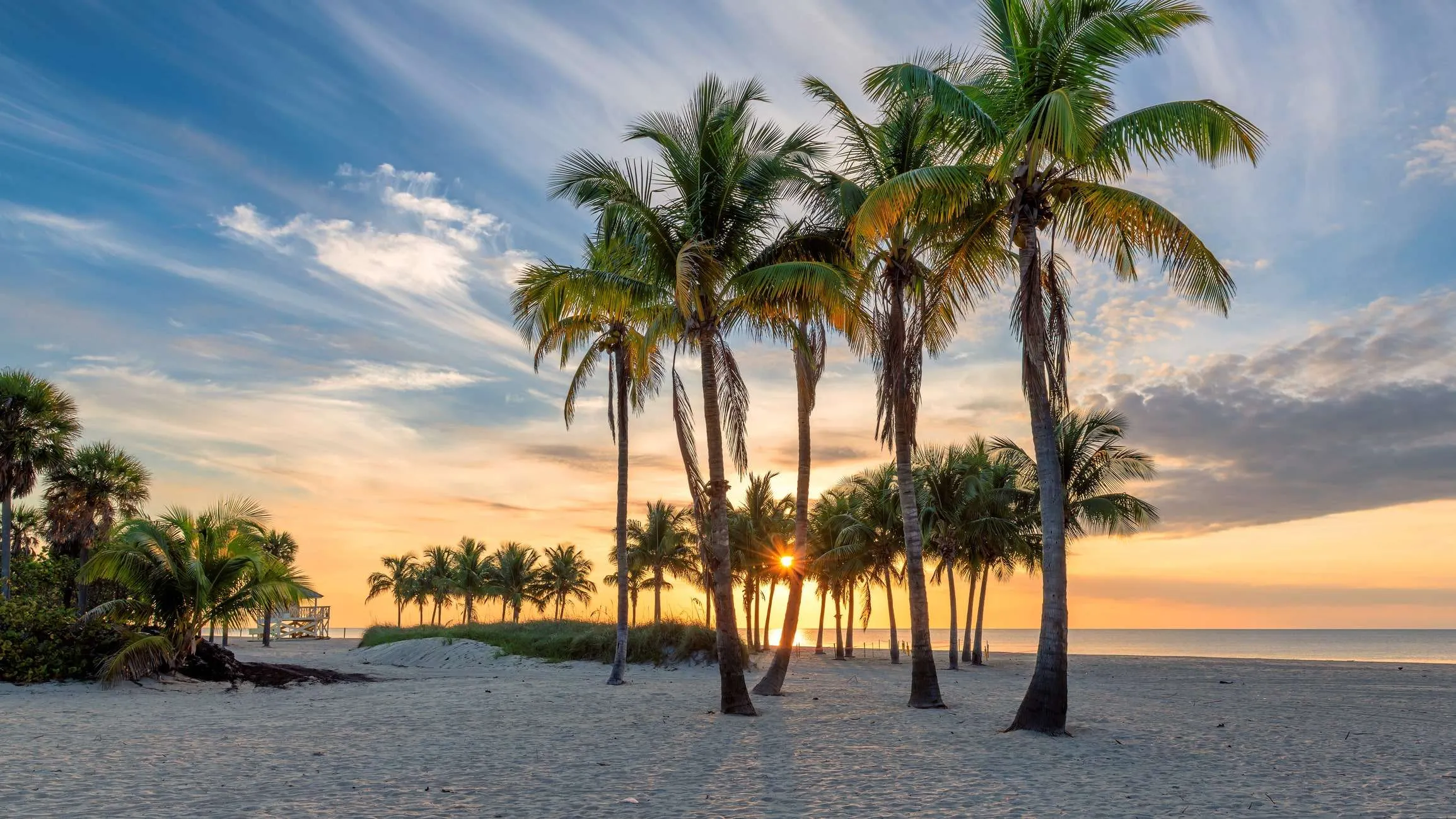 Tampa Bay Recovery Center