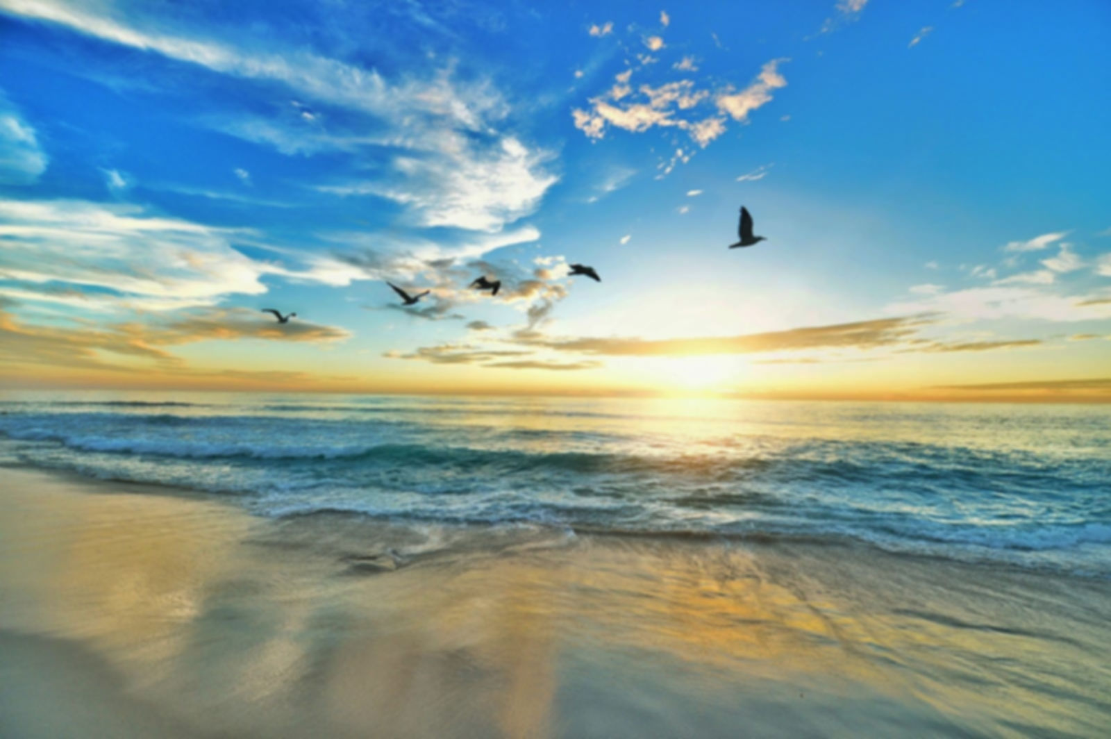 The Z House — sober living in Hollywood, Florida