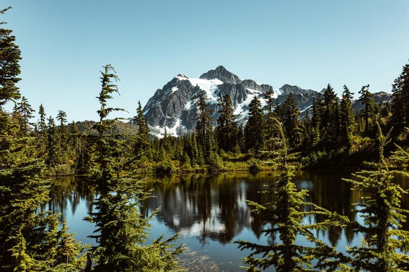 Courage to Change Recovery Services - Nick's Place — sober living home in Everett, Washington