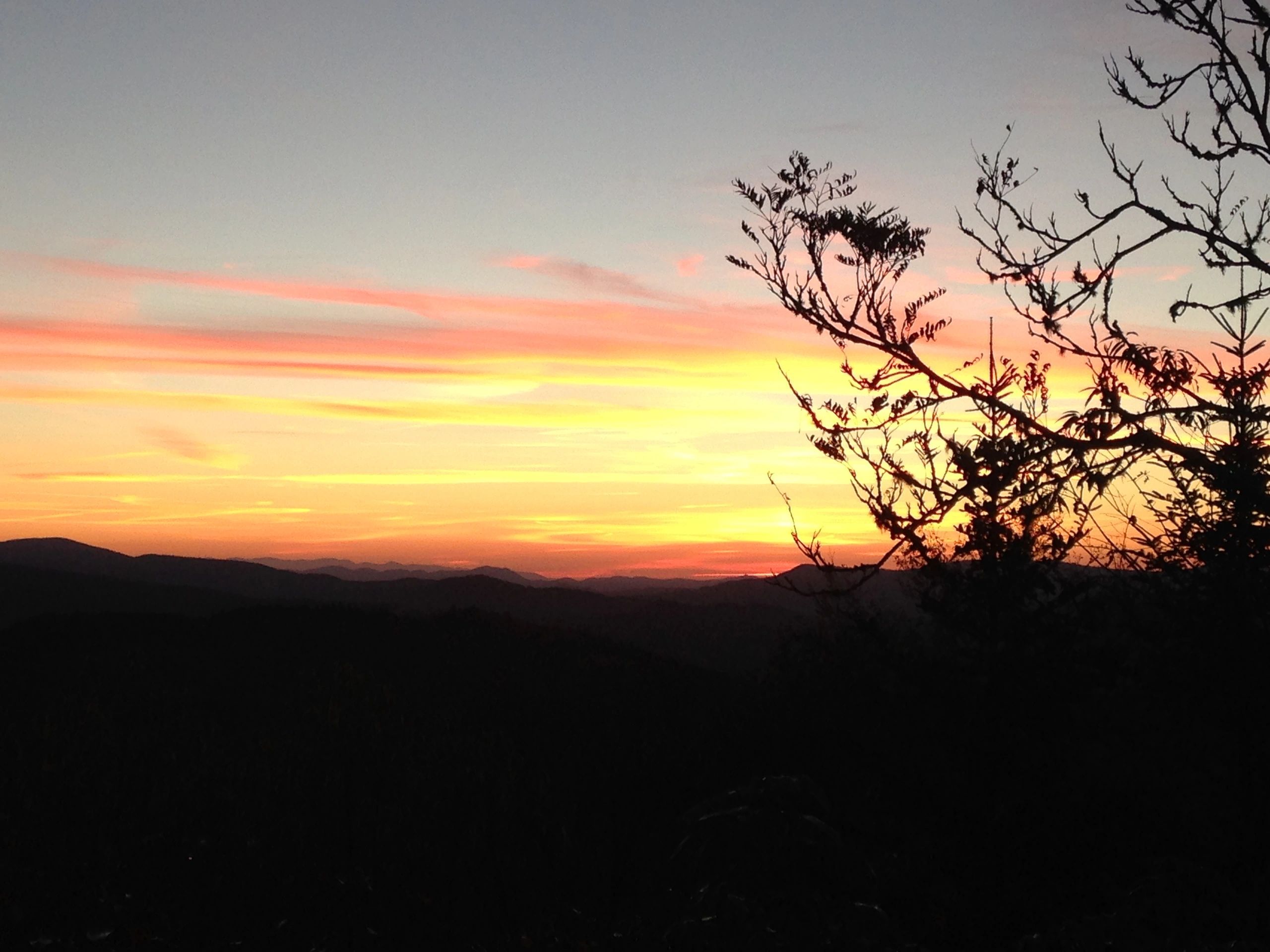 Recovery Trail — sober living home in Sevier County, Tennessee