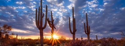 Saguaro Recovery - Mariposa House — Scottsdale, Arizona Saguaro Recovery - Mariposa House — sober living home in Scottsdale, Arizona