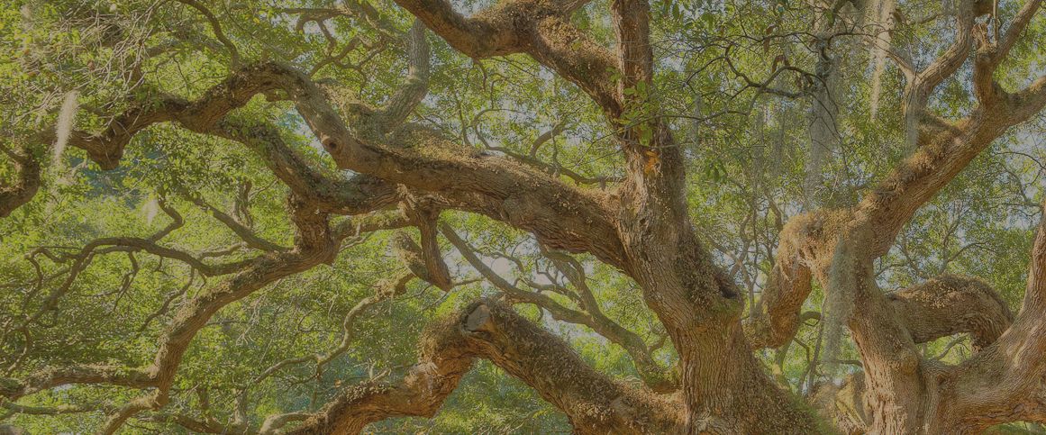 The Sanctuary Recovery Foundation — sober living home in Charleston, South Carolina