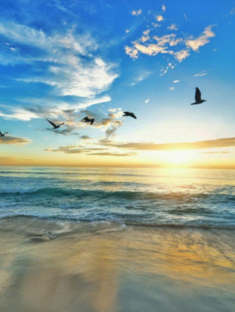 The Z House — sober living home in Hollywood, Florida