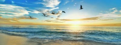 The Z House — Hollywood, Florida The Z House — sober living home in Hollywood, Florida
