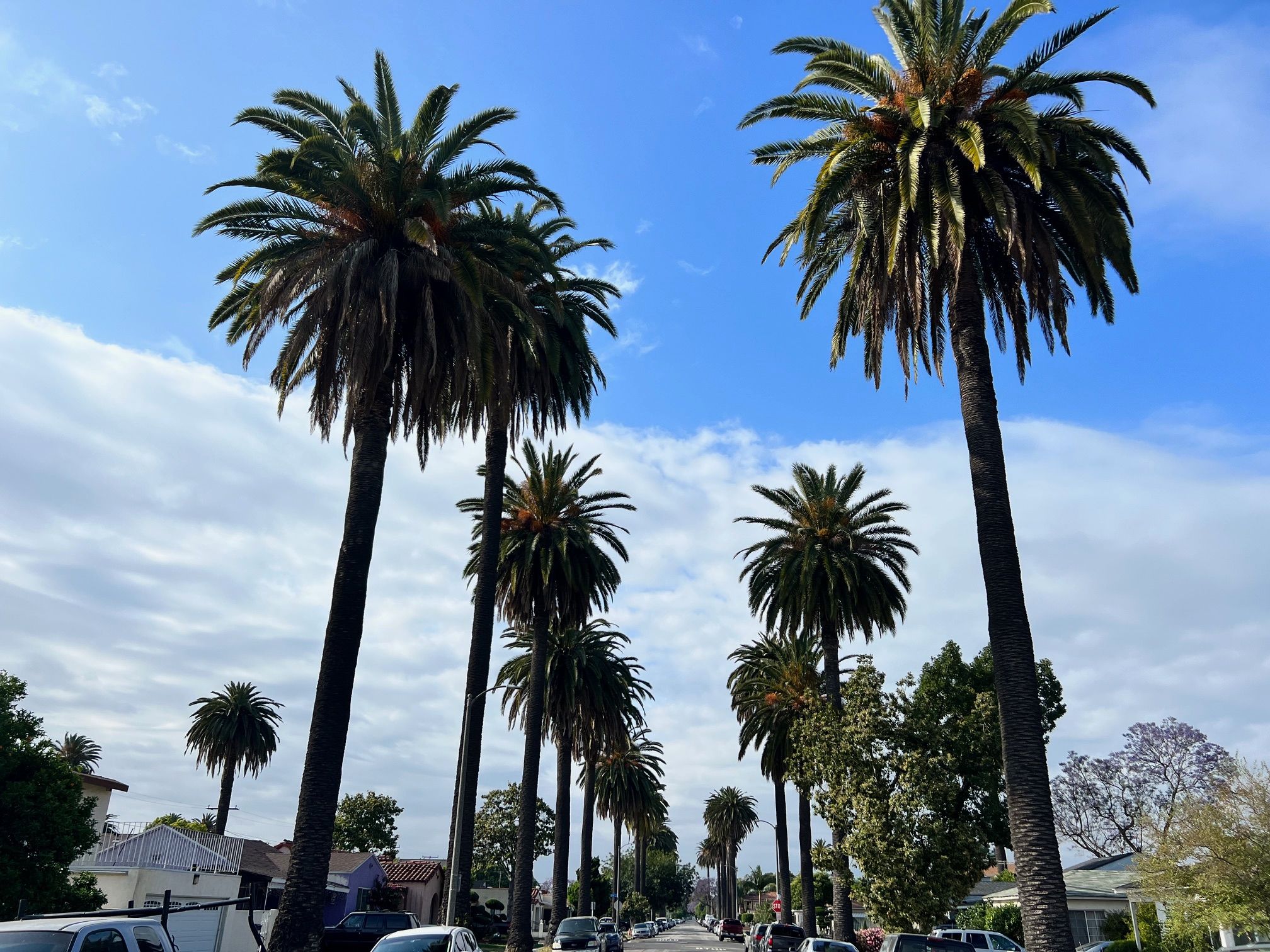 TheRightPath — men's sober living home in Long Beach, California