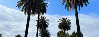 TheRightPath — Long Beach, California TheRightPath — men's sober living home in Long Beach, California