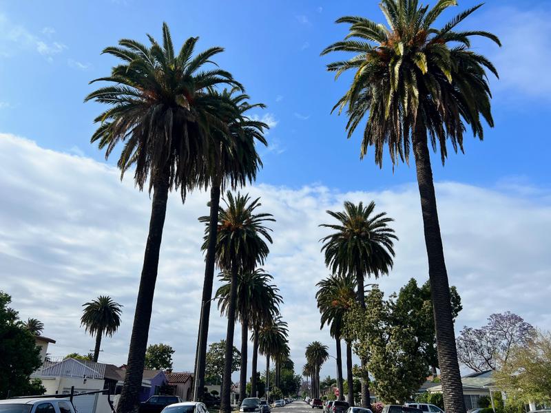 TheRightPath — sober living home in Long Beach, California